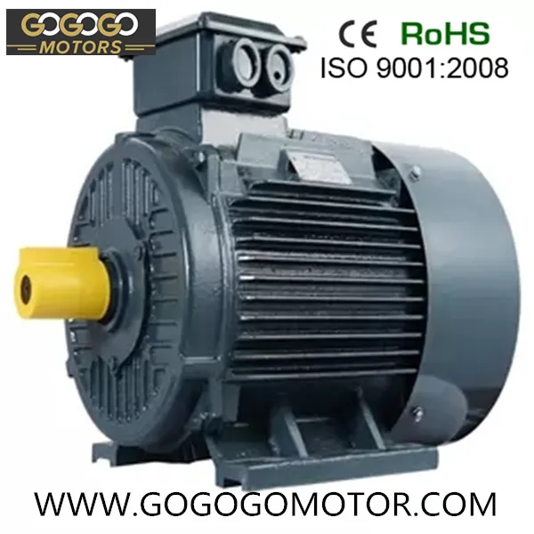 0.75kw 7.5kw 11kw 15kw 22kw 37kw 45kw 55kw 75kw 160kw 315kw 50Hz 60Hz High Efficient Ie3 AC Induction Electric Motors (1HP-460HP)