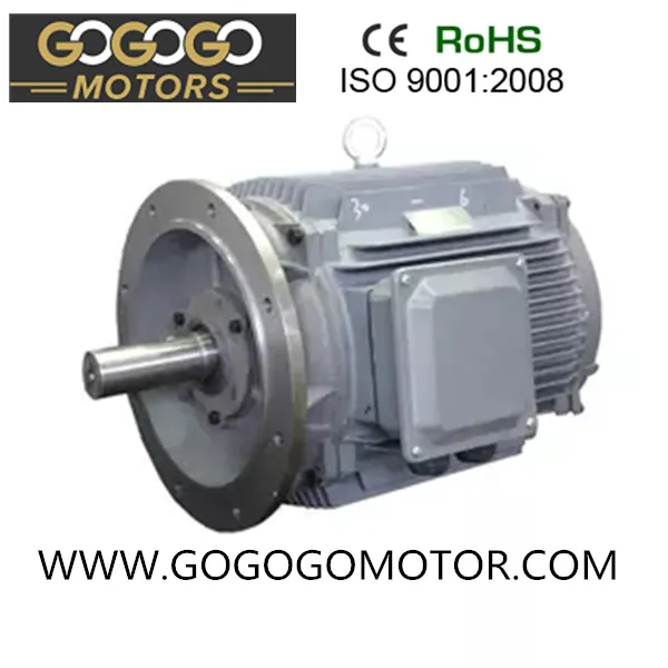 0.75kw 7.5kw 11kw 15kw 22kw 37kw 45kw 55kw 75kw 160kw 315kw 50Hz 60Hz High Efficient Ie3 AC Induction Electric Motors (1HP-460HP)