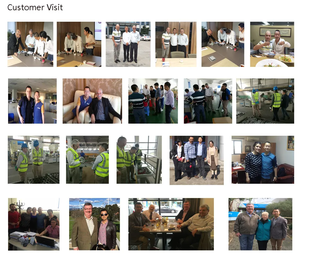 1000-20000rpm Hot Sale DC Motor Proof Food Process Motor