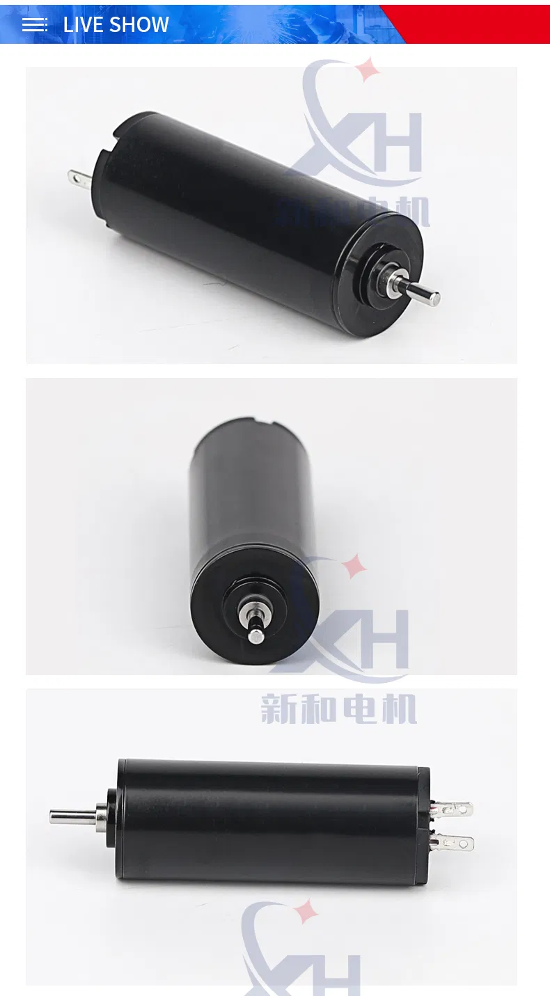 1232 Hot Sales Customized Coreless Motor Mini Motor DC Motor with Brushed for Facial Massager and Eyebrow Tattoo Machine