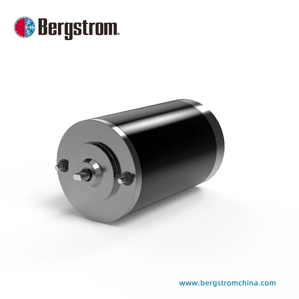 12V, 24V, 36V, 48V up to 1,000W Outboard boat motor dc trim motor tilt motor electric motor oil pump motor BZY77 - 0401