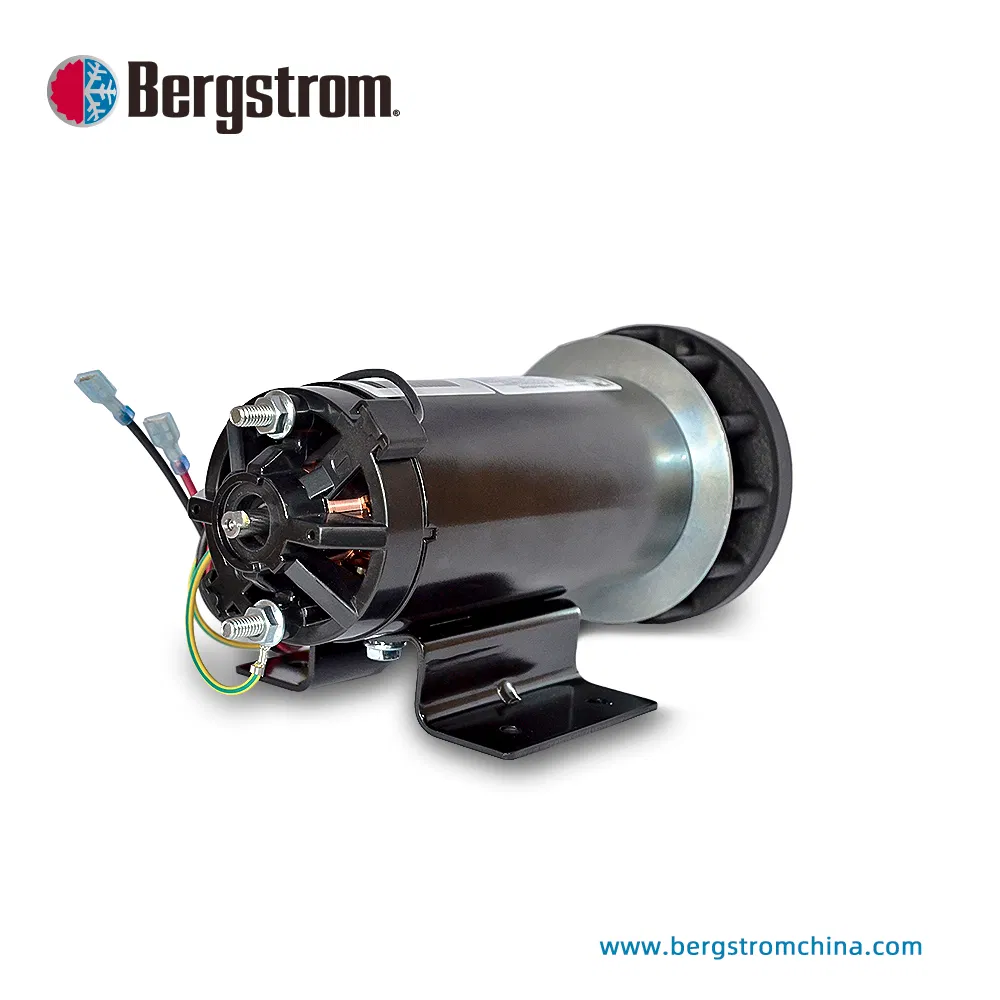 12V, 24V, 48V Treadmill motor electric dc motor for treadmill BZY89A - 0301