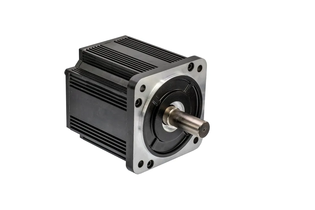 130BLH3A146-31040 DC Motor Electric Motor Low Voltage DC Motor BLDC Motor/Brushless DC Motor