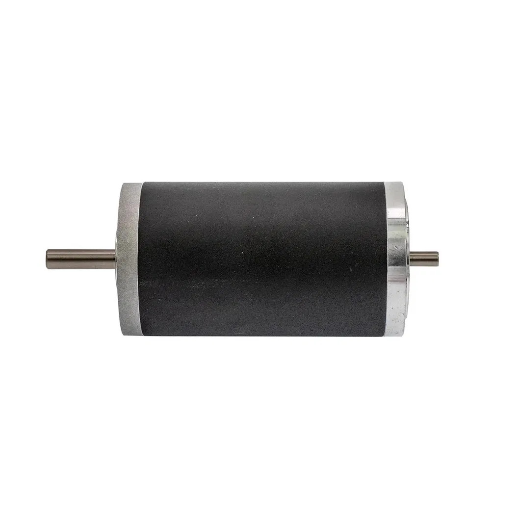 15V 6W Brushless DC Motor with CE, RoHS, ISO 9001 Certification