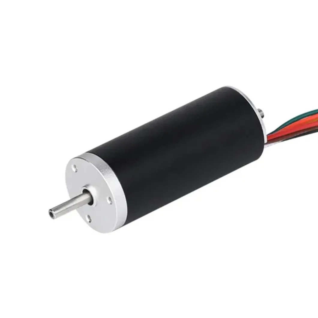 15V 6W Brushless DC Motor with CE, RoHS, ISO 9001 Certification