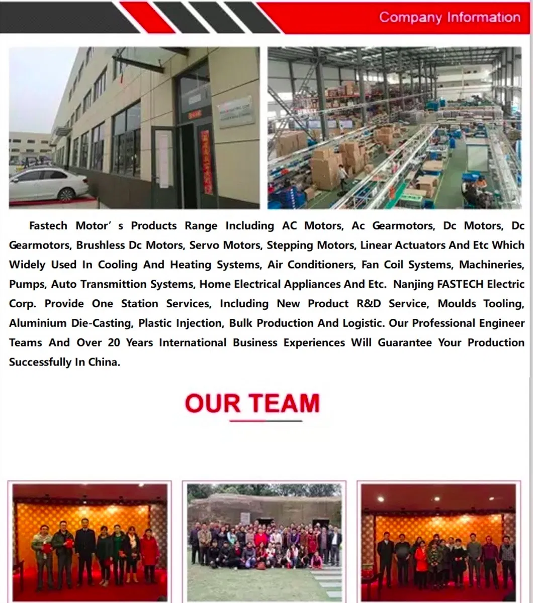 15V 6W Brushless DC Motor with CE, RoHS, ISO 9001 Certification