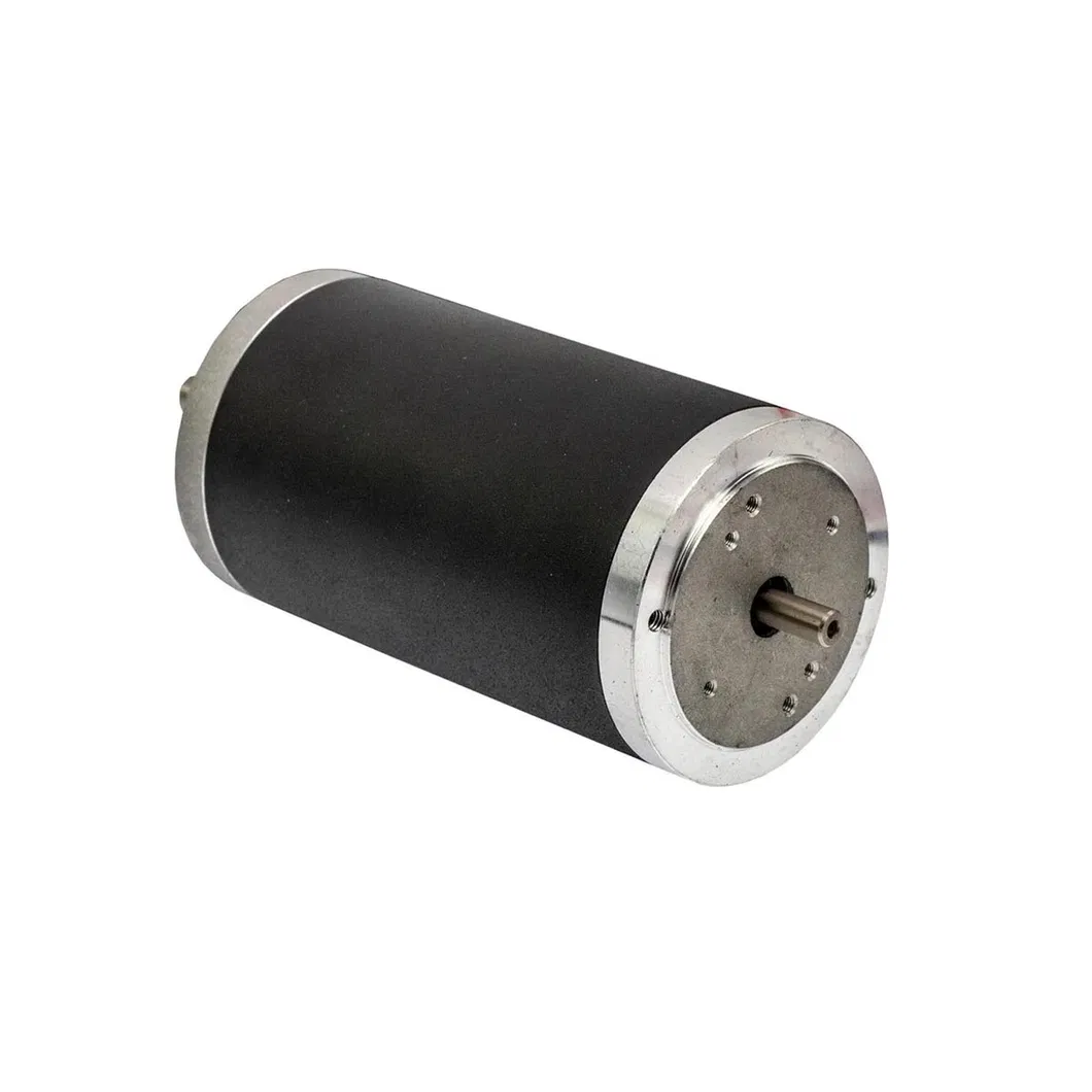 15V 6W Brushless DC Motor with CE, RoHS, ISO 9001 Certification