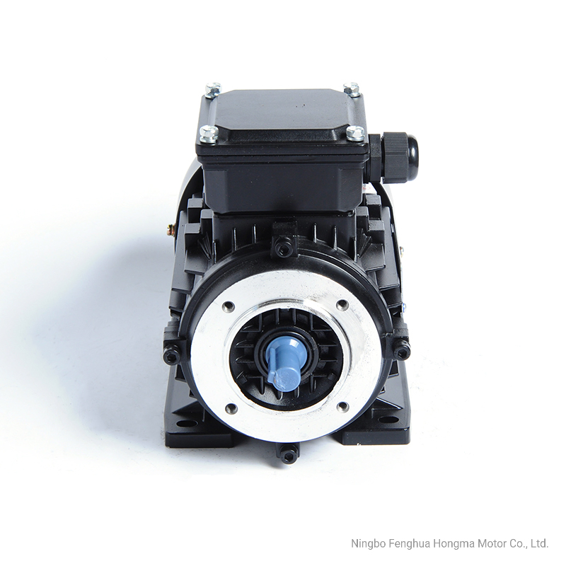 1hma -Ie1 (EFF2) Series Aluminum Housing Three Phase Asynchronous Electric Motor with 2pole-0.09kw