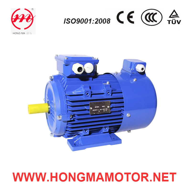 2.2kw 4pole AC Electric Frequency Variable Motor (100L1-4-2.2KW) 2.2kw 4pole AC Electric Frequency Variable Motor (100L1-4-2.2KW)