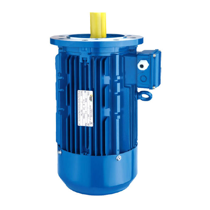 Can Induction Motors Work with Variable Frequency Drives