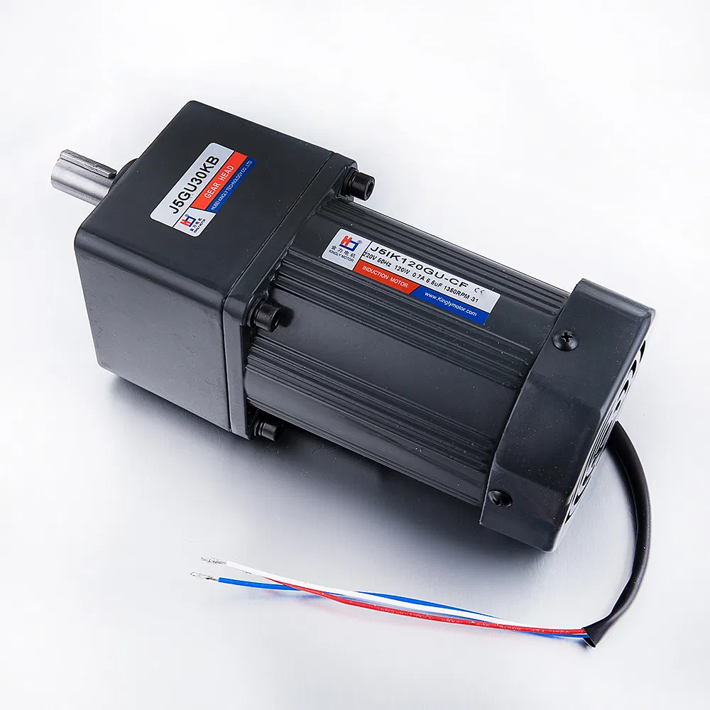220V 110V 500W Single Phase AC Gear Motor