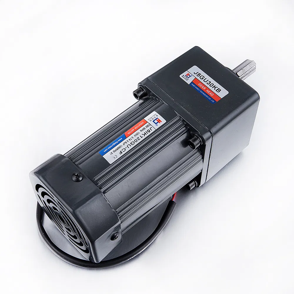 220V 110V 500W Single Phase AC Gear Motor