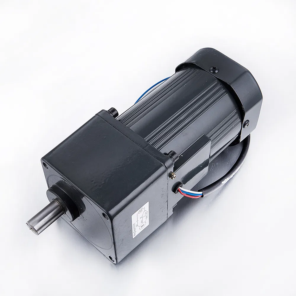 220V 110V 500W Single Phase AC Gear Motor