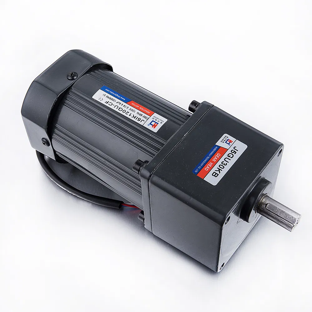 220V 110V 500W Single Phase AC Gear Motor