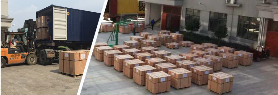 22mm Micro DC Planetary Transmission Gear Electric Motor