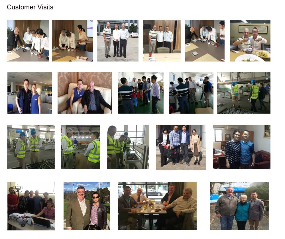 230V Electrical AC Universal Motor 5420 for Small Home Appliance Mixer Blender