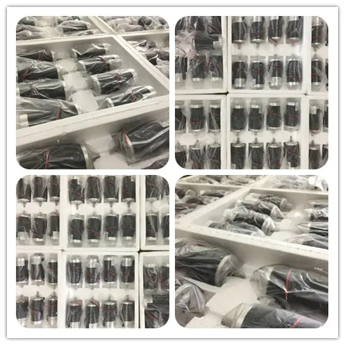 250watt 20n. M DC Brushed Motor with Gearbox