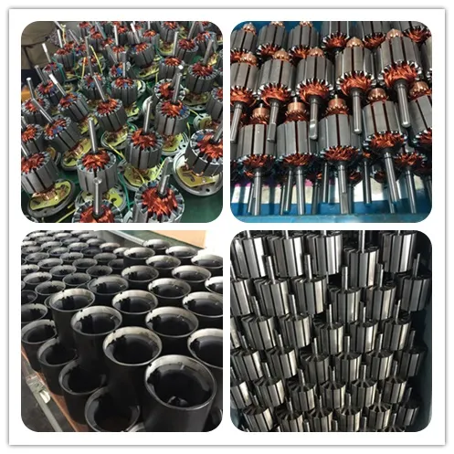 250watt 20n. M DC Brushed Motor with Gearbox