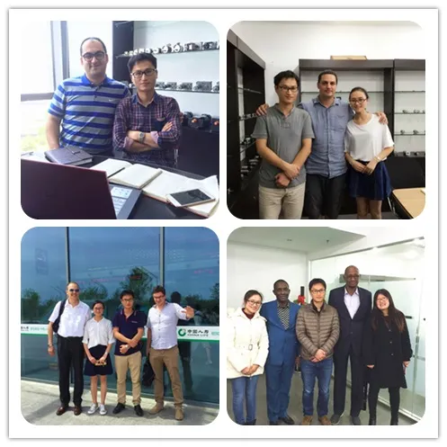 250watt 20n. M DC Brushed Motor with Gearbox