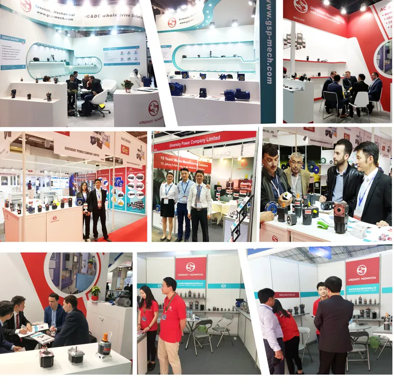 25W 30W 80mm Induction AC Gear Motor for Controller 1pH 3pH 120V 220V