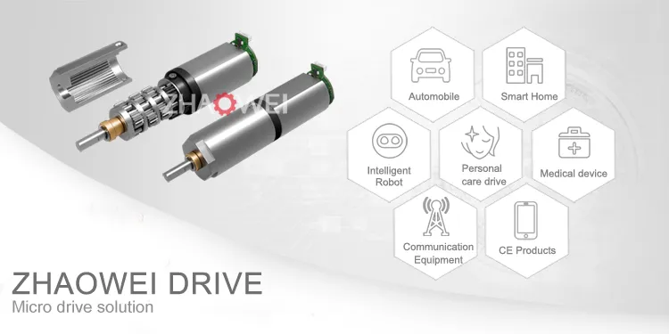 37mm High Torque Low Rpm RS555 24V 12V 10rpm 20rpm 30rpm 50rpm 100rpm 200rpm 300rpm DC Gear Motor