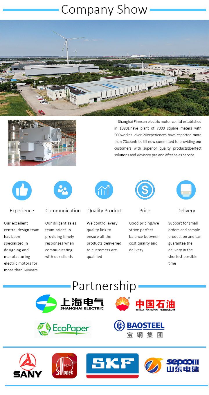 380V 400V 415V 500V 690V Electric Water Pump Motor