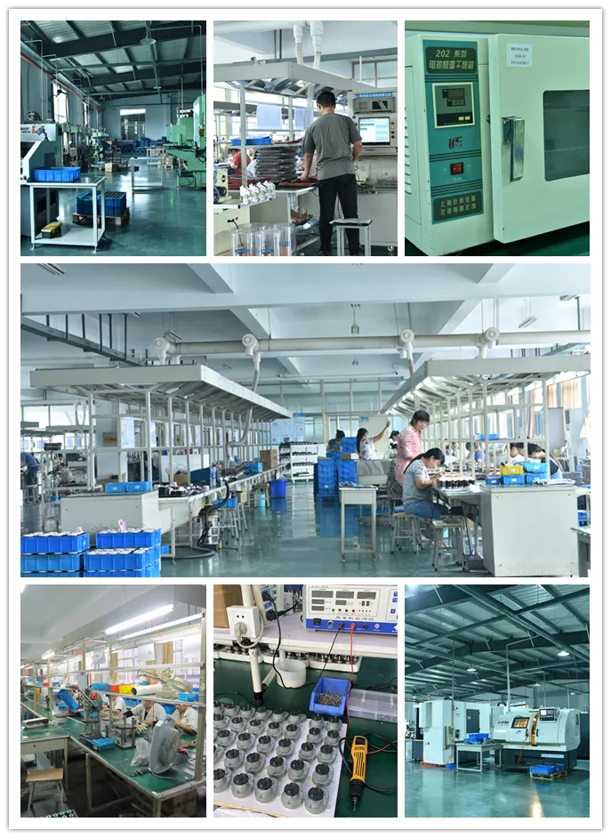 43mm 240V 45W Low Speed Permanent Magnet Brushless DC Motor