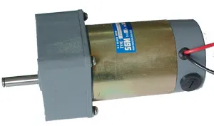 50W, 80W Sgmada DC Geared Motor Sgmada