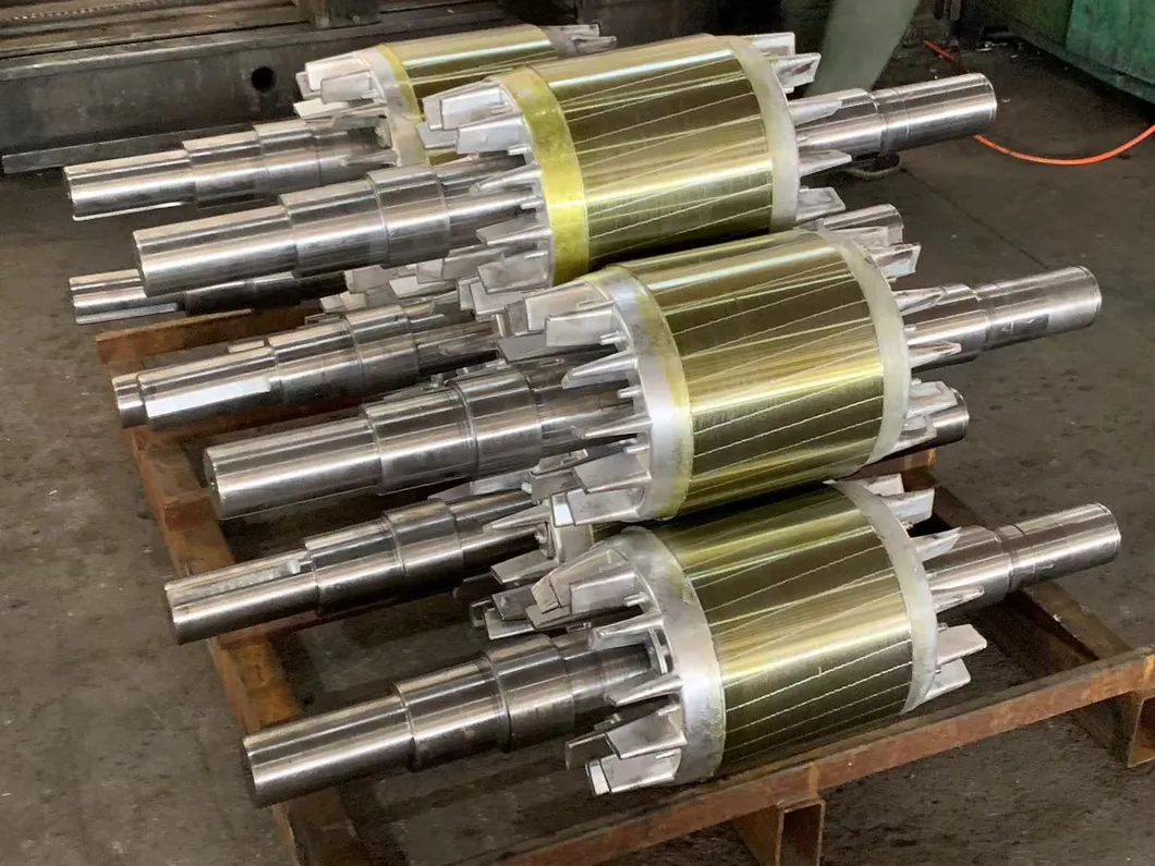 55kw 75HP 10p Induction Motor Ye2-315m-10