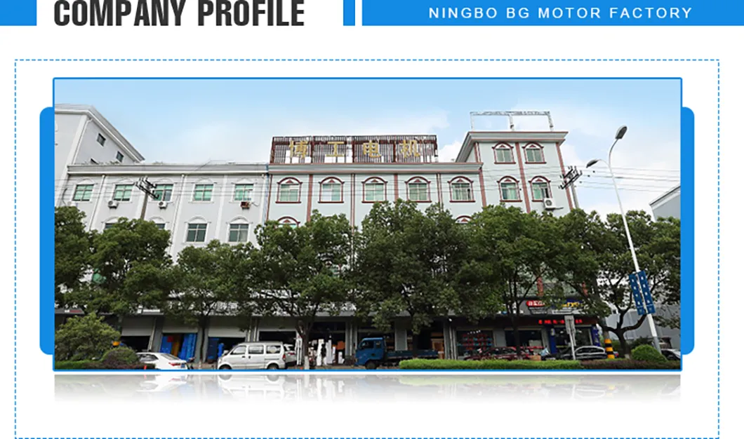 63mm High Torque Permanent Magnet Brushed DC Motor 12V 24V 36V 40V 48V 60V Power 50W 100W 150W 200W