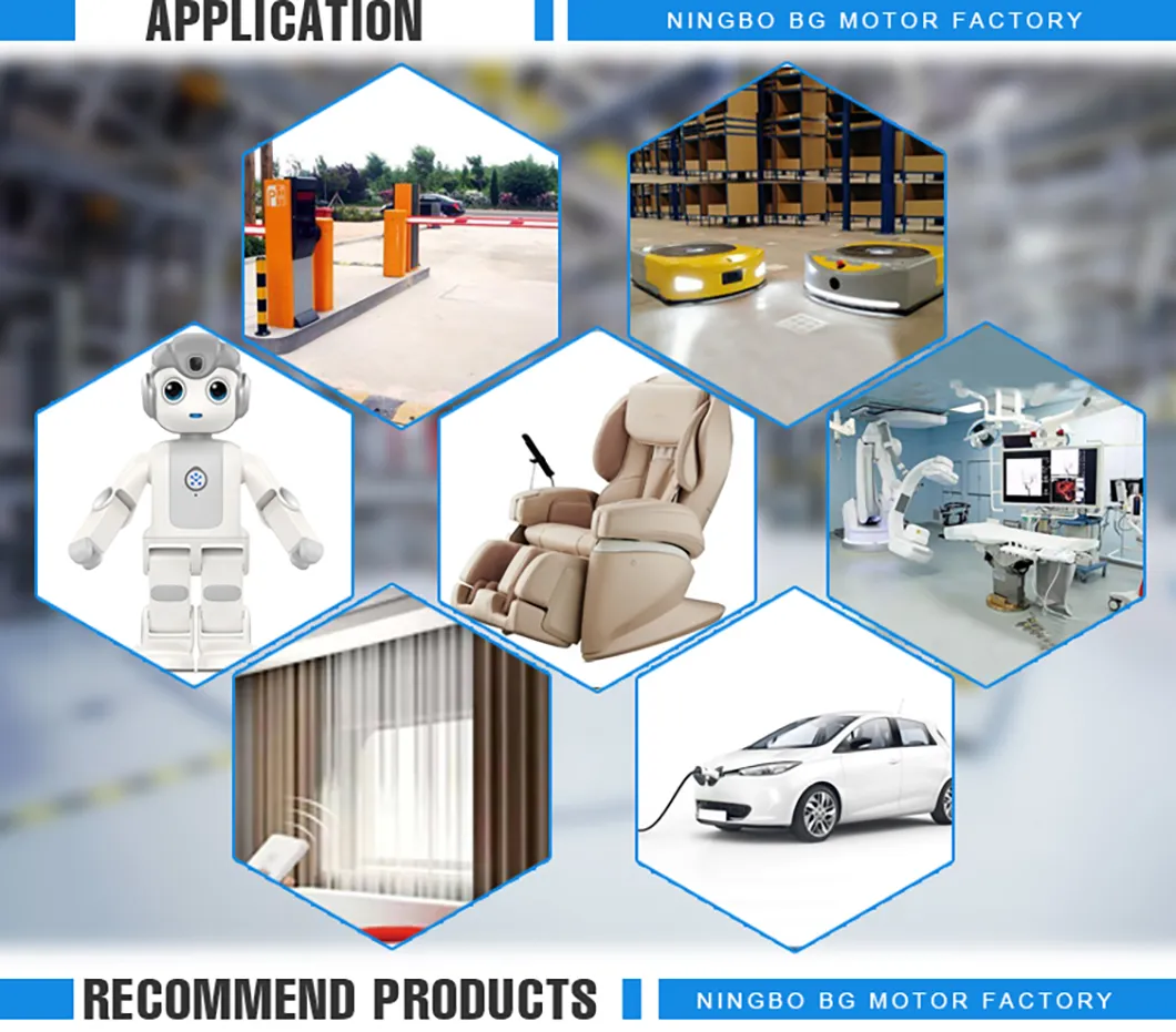 63mm High Torque Permanent Magnet Brushed DC Motor 12V 24V 36V 40V 48V 60V Power 50W 100W 150W 200W