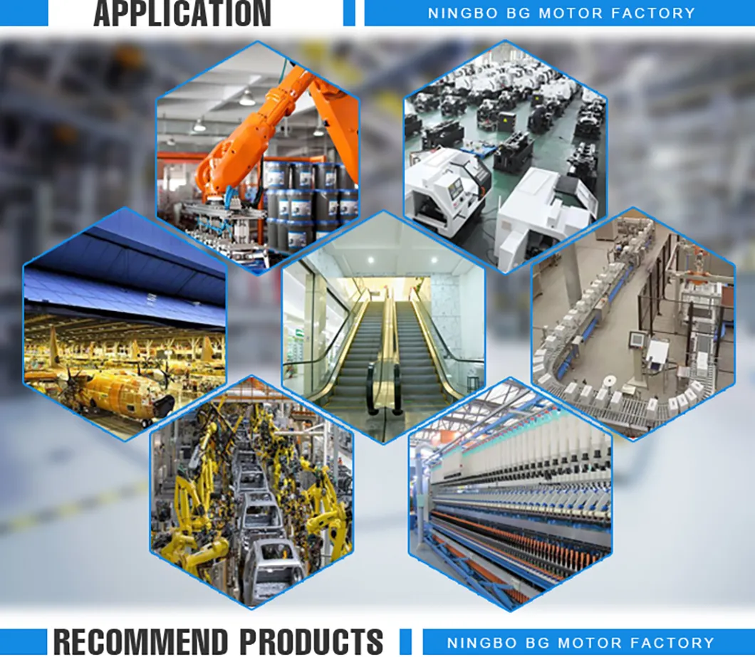 80mm 100W 24V PMDC Motor 80zyt Electric Motor