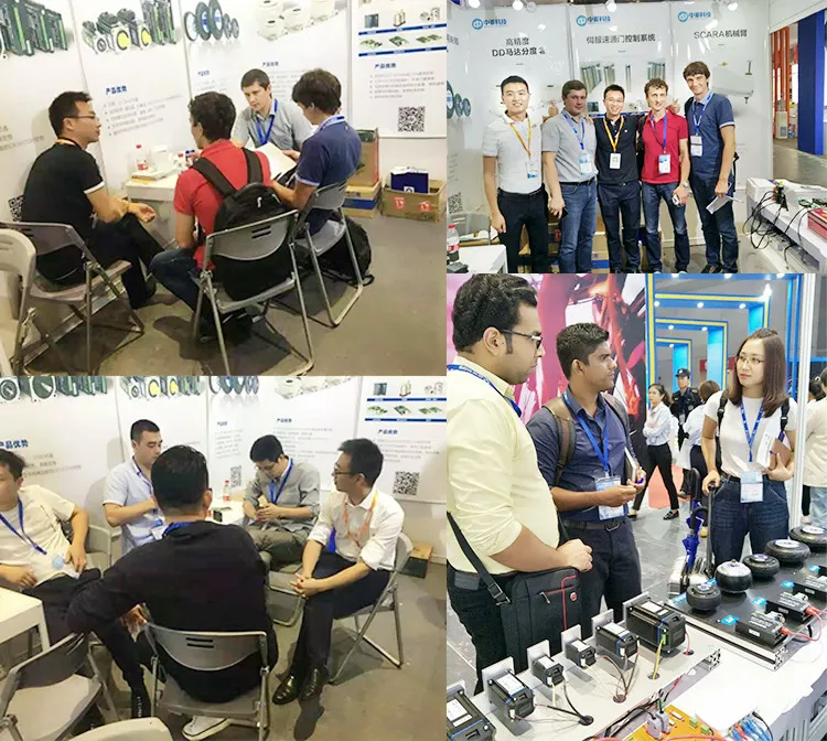 8inch Hub Motor 36/48V 5n. M 600rpm Single/Double Shaft Hub Motor for Agv Robot