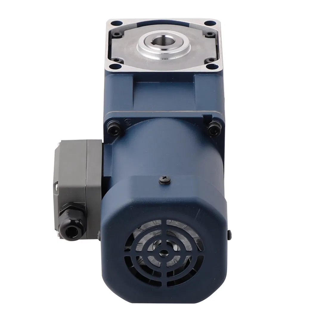 90mm 5IK Series Right Angle Electric AC Gear Motor For Packing Maching