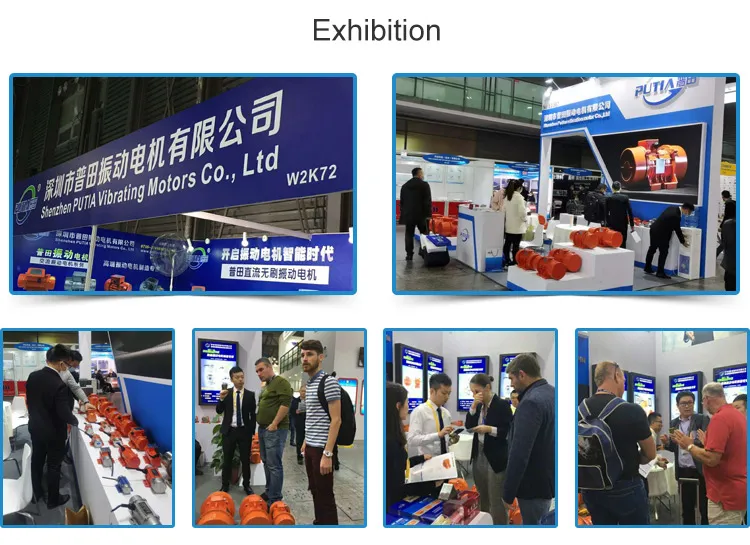 AC Electric Motor Vibrator for Vibrating Sieving Machine Mve800/3-50