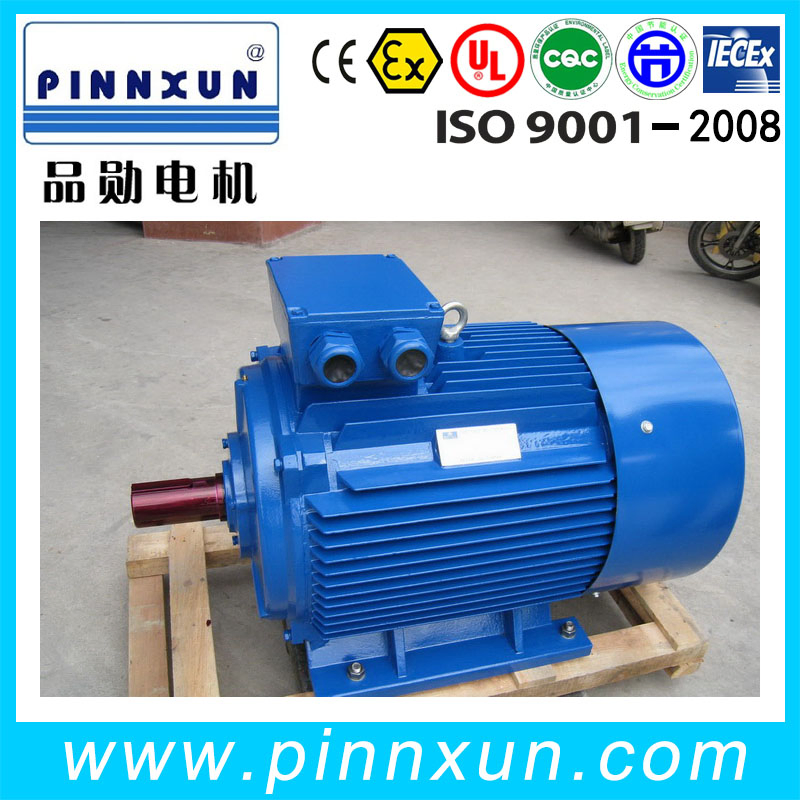 AC Induction Motor 160 Kw Electric Motor