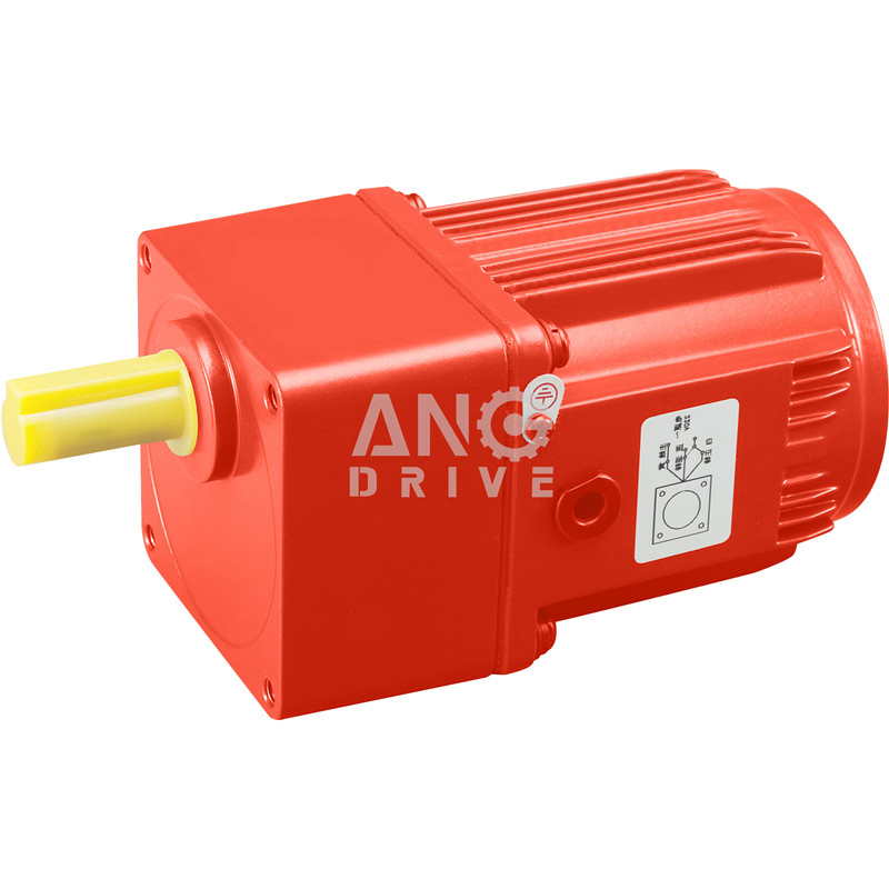 Ang 200W 250W 100*100mm AC Right Angle Gear Motor