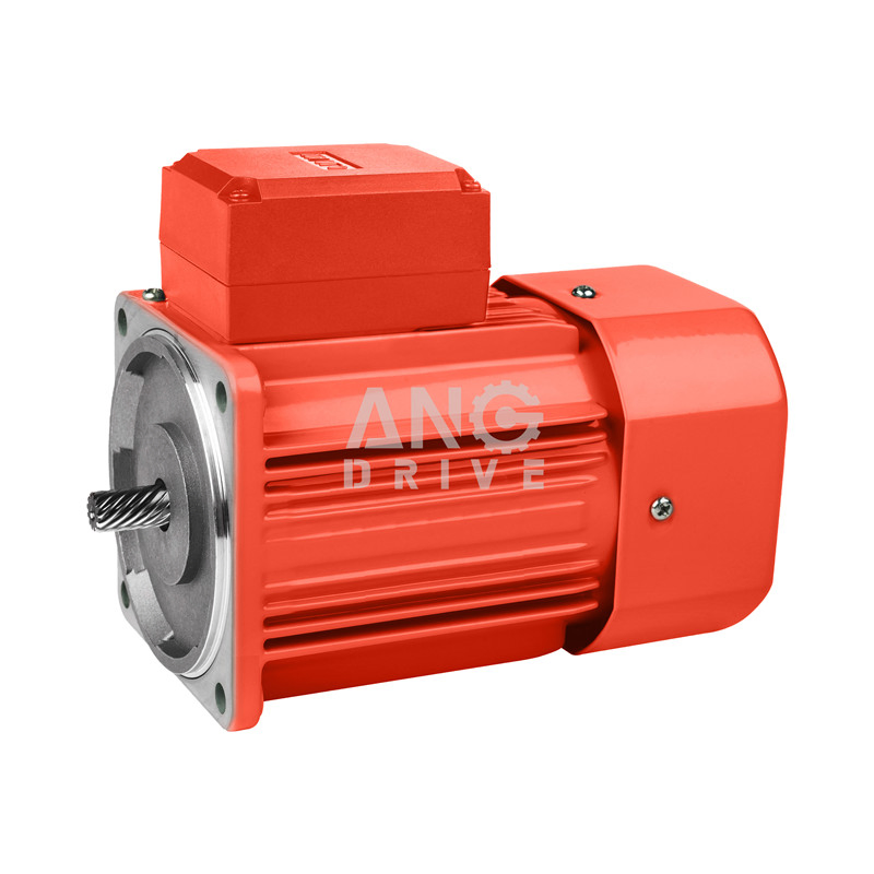 Ang 60W 90*90mm AC Right Angle Gear Motor