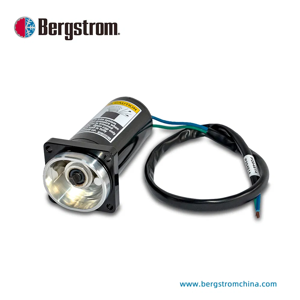 Boat marine yacht hydraulic pump motor electric dc motor oil pump 12V, 24V, 36V, 48V up to 1000W BZY17 - 0401