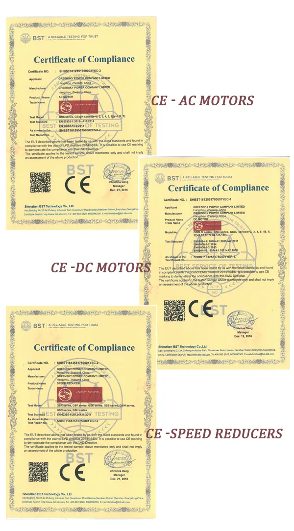 Brushed DC Motor 12V/24V 82mm Planetary Gear Motor