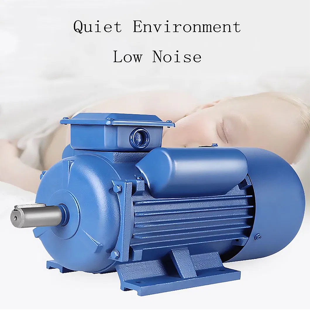 Capacitor Start and Run Premium High Efficiency Single Phase Induction AC Electric Asynchronous Motor