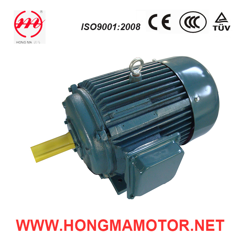 Cast Iron Housing Double Speed Electric Motor