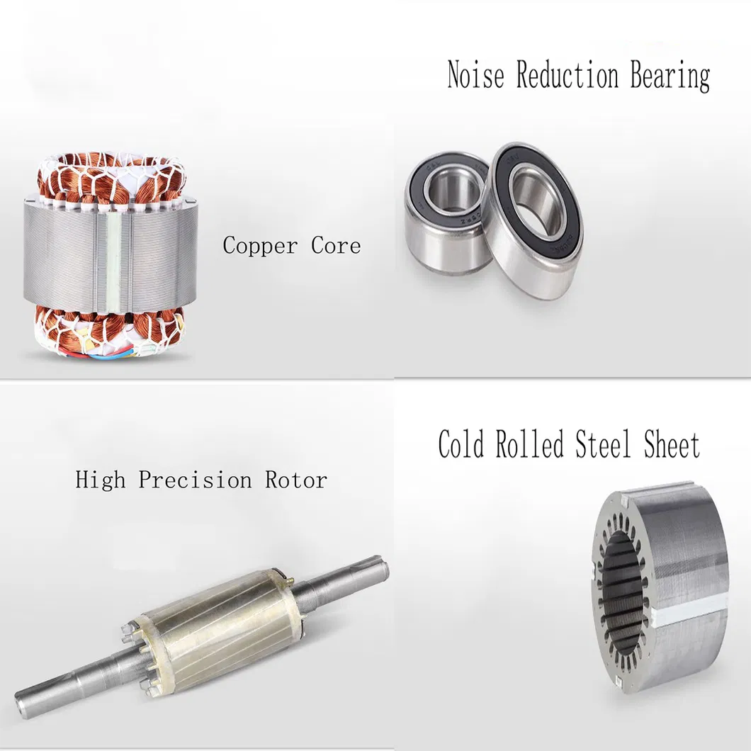 CE Approved Single Phase Induction Motor AC Motor Electric Motor (YC YL YY MY ML)