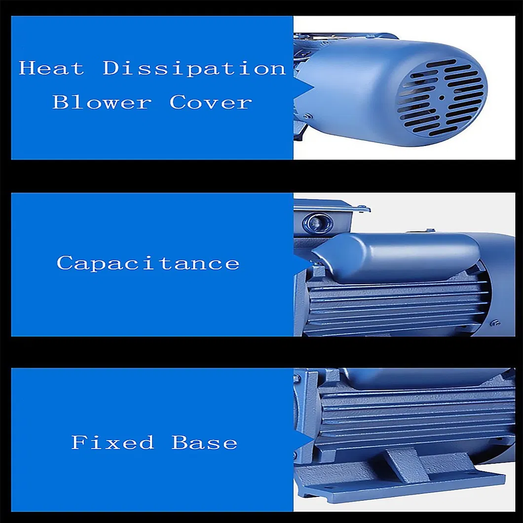 CE Approved Single Phase Induction Motor AC Motor Electric Motor (YC YL YY MY ML)