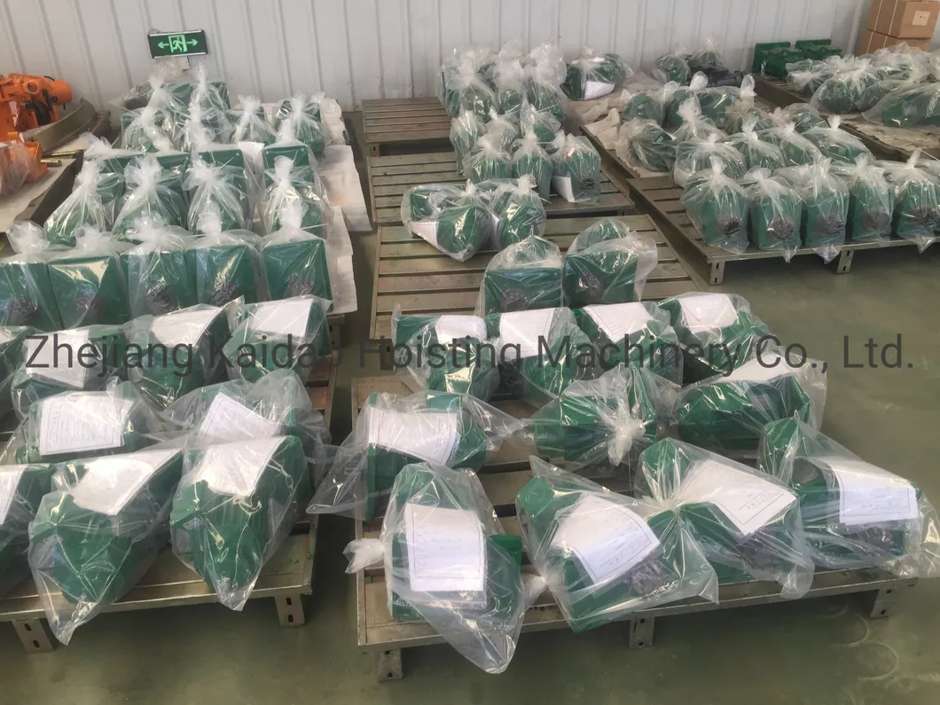 Ce Certificate China Manufacturer AC Electric Motor for Beam Trolley
