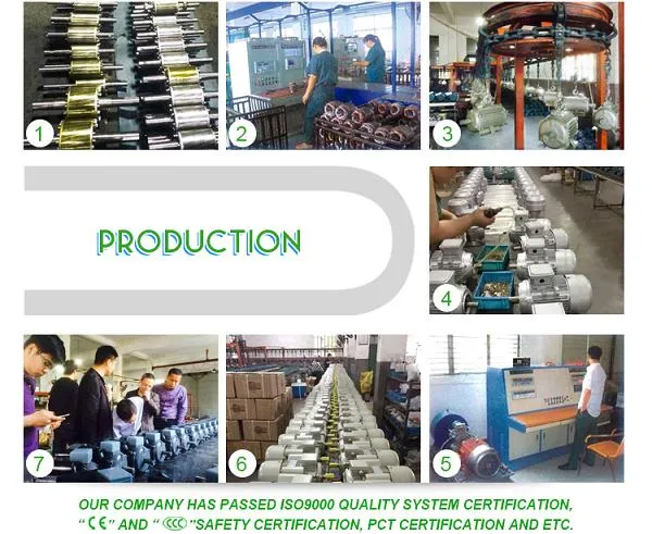 Chimp Y3 Series AC 2850rpm Electric Induction Motor (Y3-63M1-2)