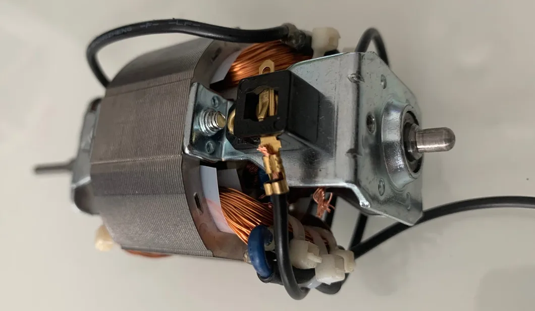 China Wholesale 120W Professional Electric Blender Motor Universal Motor