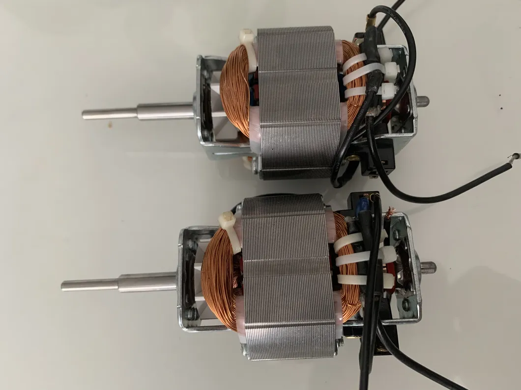 China Wholesale 120W Professional Electric Blender Motor Universal Motor