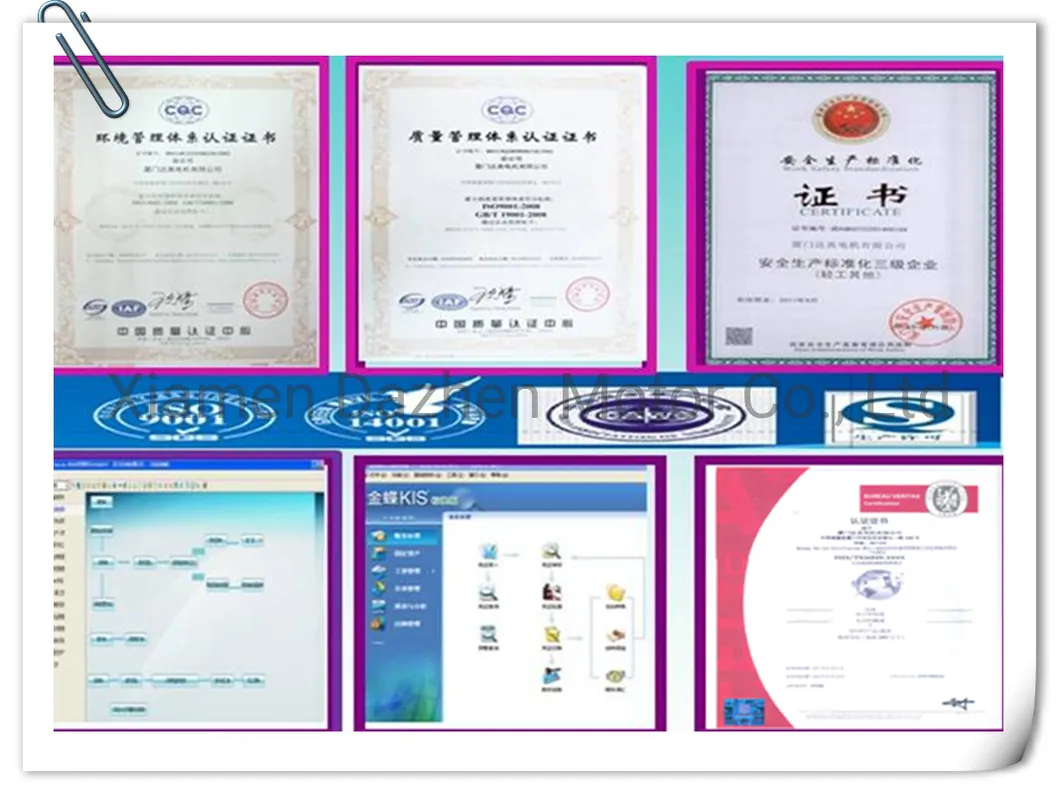 Customized 24V DC Eccentric Vibration Motor for Massage Products Od23.8mm