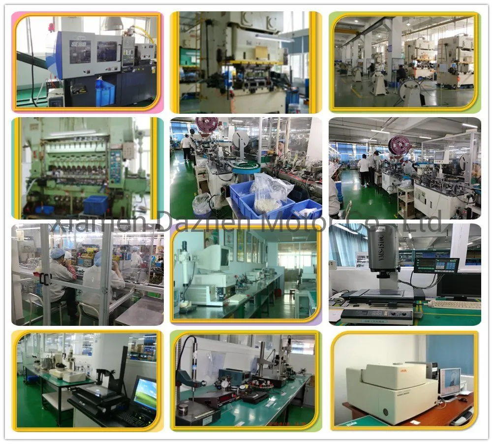 Customized DC Vibration Motor for Massagor